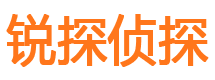 江陵调查公司